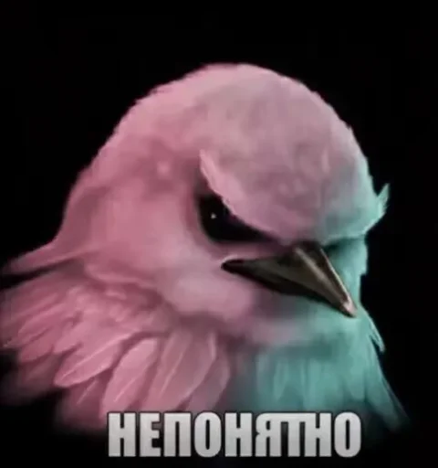 Стикер Birds Memes