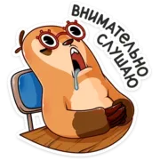 Набор стикеров