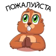 Набор стикеров