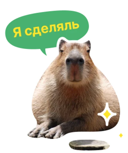 Набор стикеров