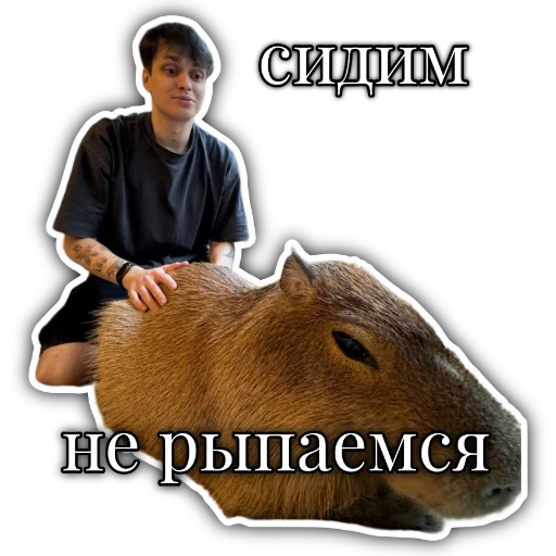 Набор стикеров