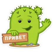 Стикер Кактус Коля