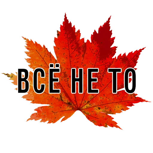 Стикер 3 сентября поют все