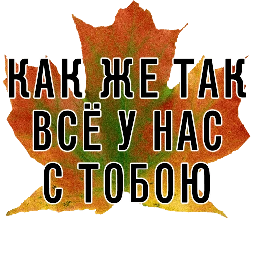 Набор стикеров