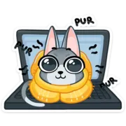 Набор стикеров