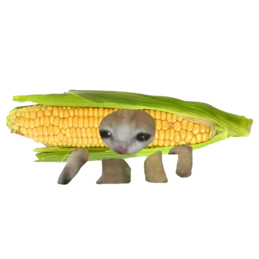 Стикер кот4