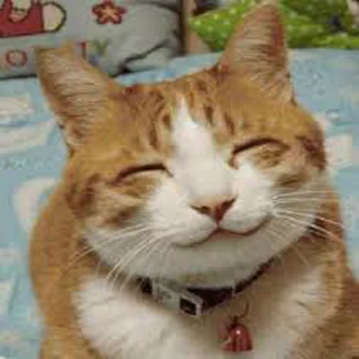 Стикер Cats