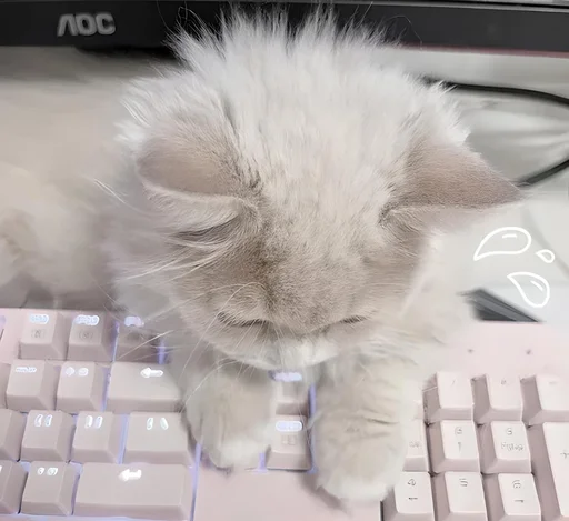 Стикер cats