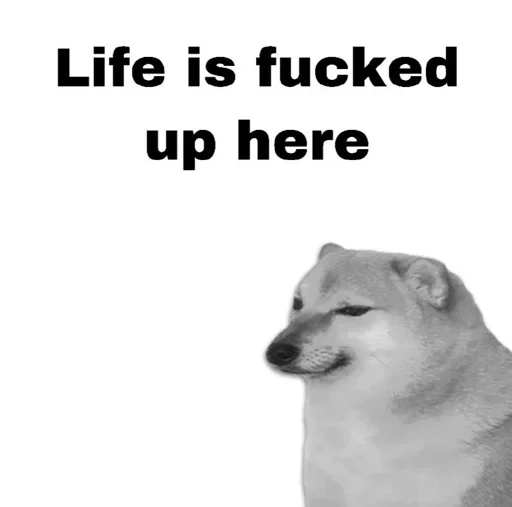 Стикер Memes
