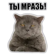 Стикер chatkasha