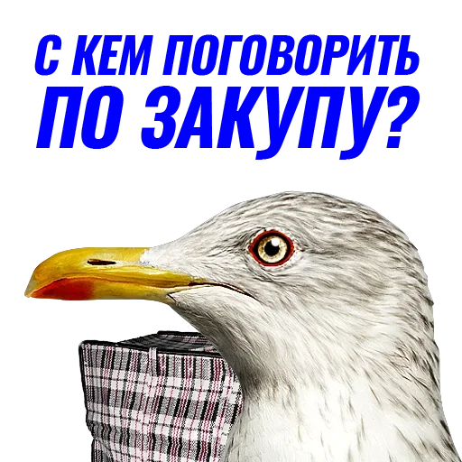 Стикер Чaйка