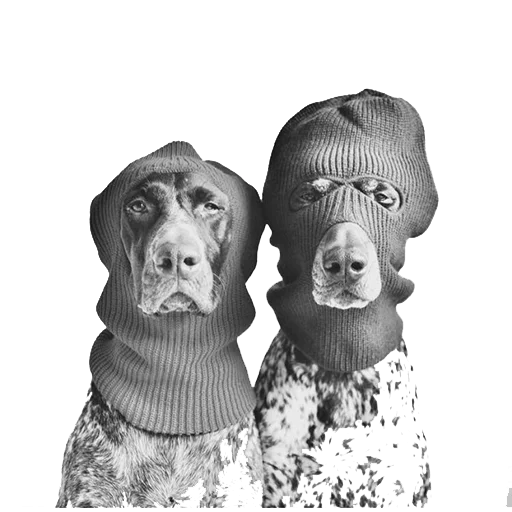 Стикер dogs!