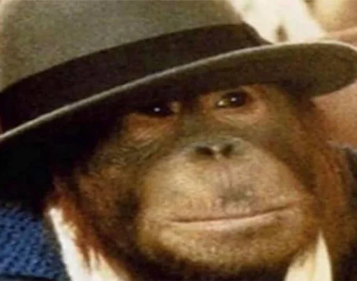 Стикер Monkeys