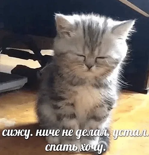 Набор стикеров