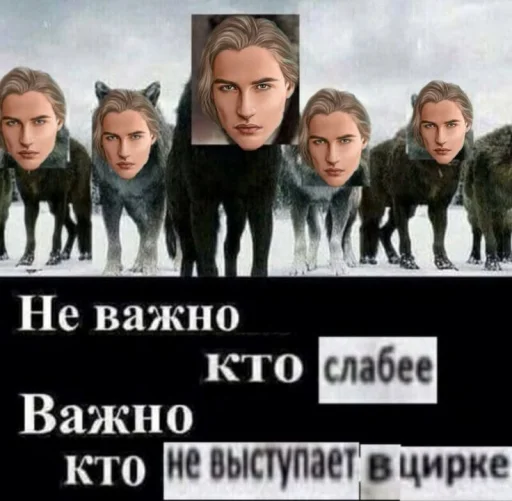 Набор стикеров