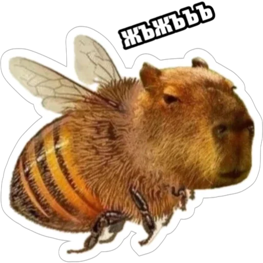 Стикер Экстракт