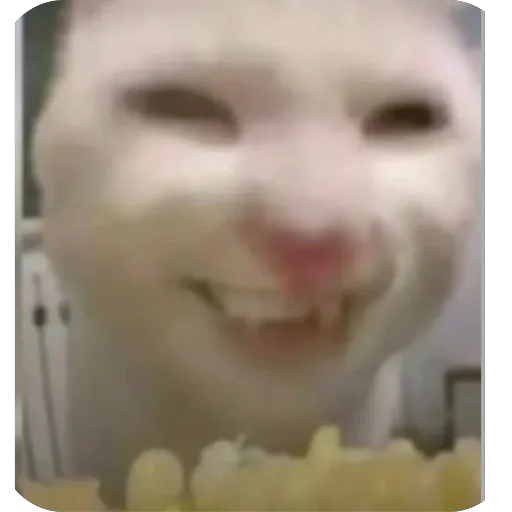 Стикер CriNgE AnimALs