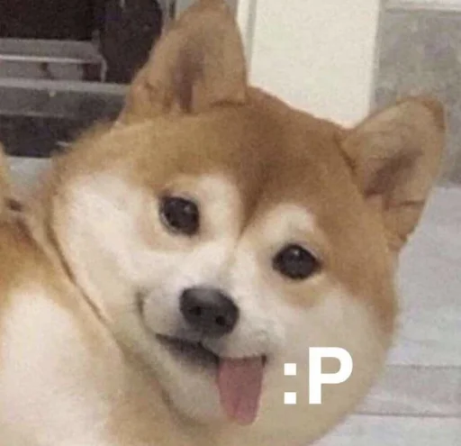Стикер cute dogs meme