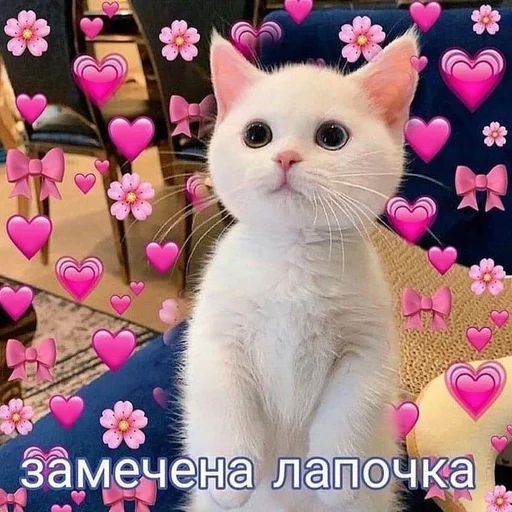 Стикер ♡︎