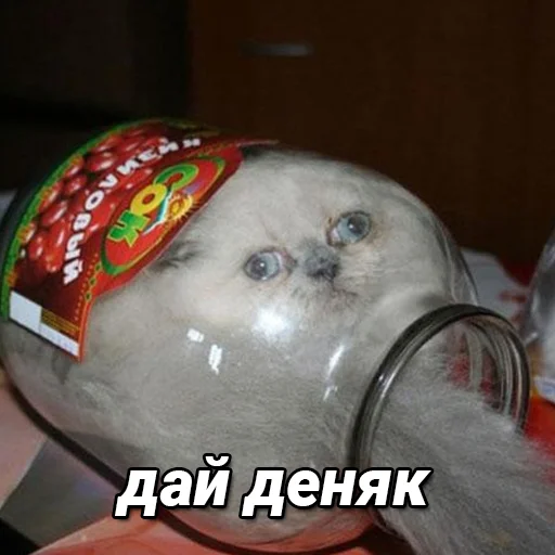 Стикер daidenuk