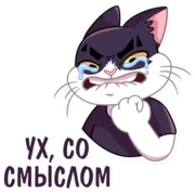 Стикер Кот Дайвинчика