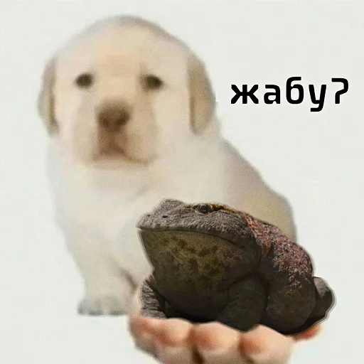 Стикер ДЭДОВЫ НАКЛЕЙКИ