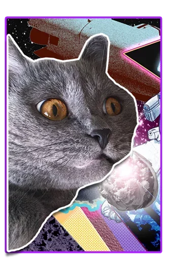 Набор стикеров