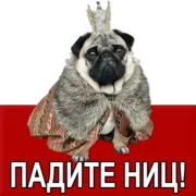 Стикер Добиваем Фазу