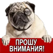 Набор стикеров