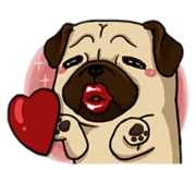 Набор стикеров