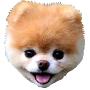 Стикер Dogs Friends