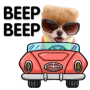 Набор стикеров