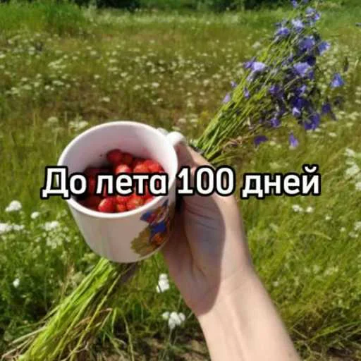 Стикер До лета осталось