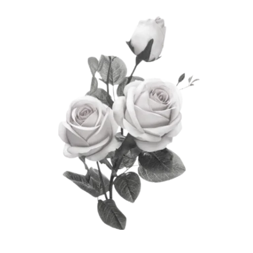 Стикер rose doll