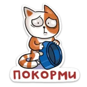 Набор стикеров