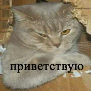 Стикер привет