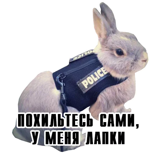 Стикер Друид из рощи снов