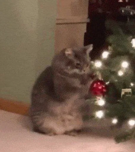 Стикер новогодние коты