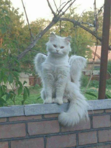 Стикер love
