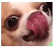 Стикер ebasosinaotsnuwix