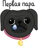 Набор стикеров