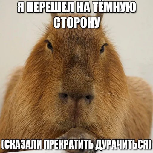 Стикер explain ur smolness