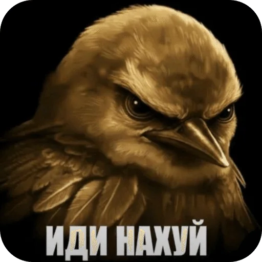 Стикер Birds Memes