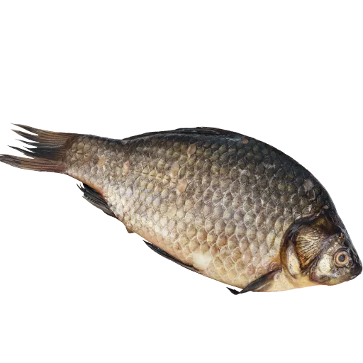 Стикер fish