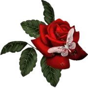 Стикер ❤S̃̾À́Ñ̾D̃̾Ỹ̾❤