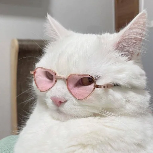 Стикер fluffy ambulance