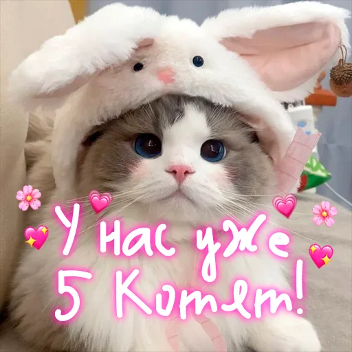 Стикер My kitties