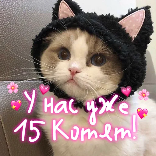 Набор стикеров