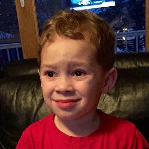 Стикер gavinreacts