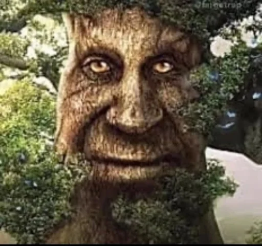 Стикер Mytstical Tree